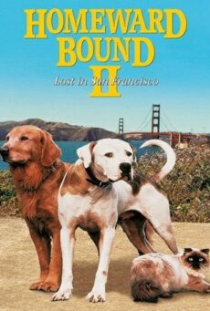 Homeward Bound II Lost in San Francisco (1996) 2 หมา 1 แมว หายไปในซานฟรานซิสโก