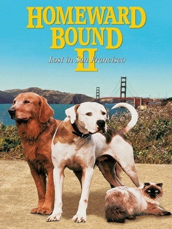 Homeward Bound II Lost in San Francisco (1996) 2 หมา 1 แมว หายไปในซานฟรานซิสโก